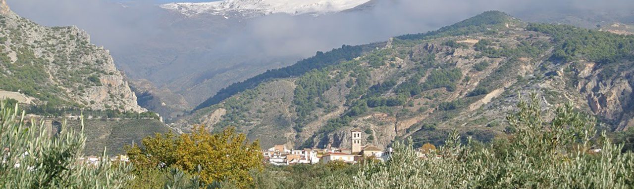 Niguelas 1